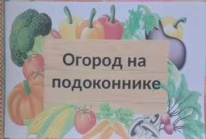 Ухаживаем за сказочным огородом Ухаживаем за сказочным огородом.